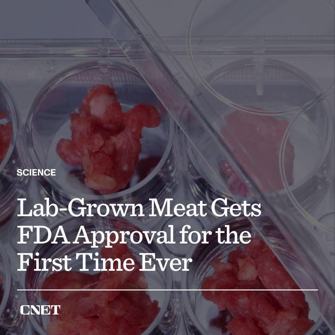 CNET - Lab-grown meat has officially received the FDA's safety stamp of approval for the first time