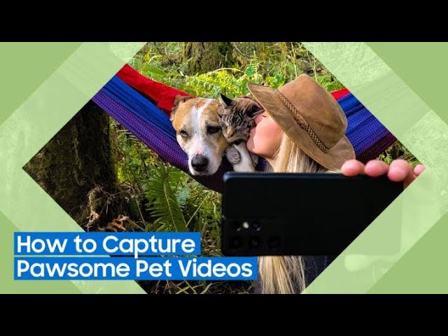 image 0 Master It: How To Capture Pawsome Pet Videos : Samsung