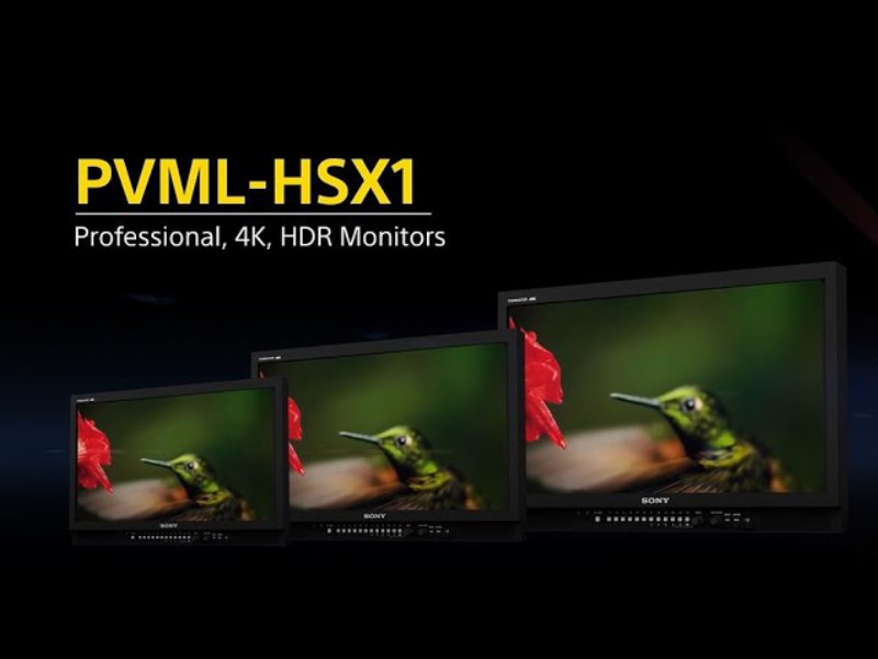 image 0 Pvml-hsx1/scx1/tdx1 : Hdr-sdr Conversion License For Pvm-x Series Professional Monitors