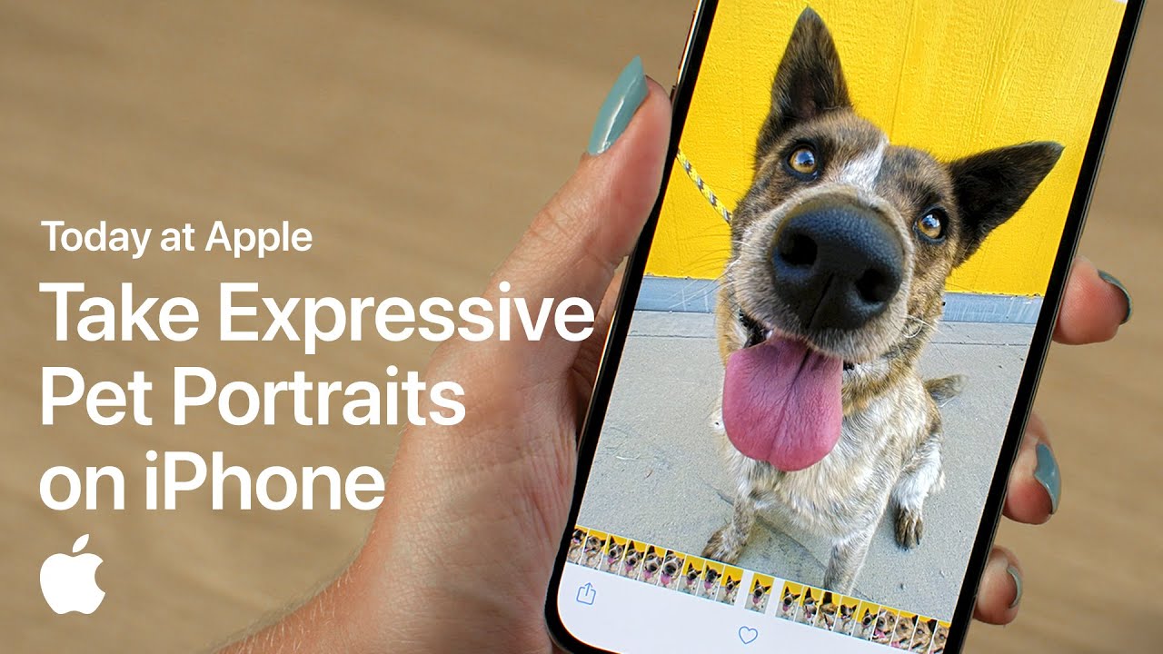 Take Expressive Pet Portraits On Iphone With Sophie Gamand : Apple
